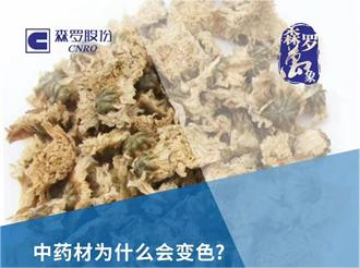 《森羅萬(wàn)象》，萬(wàn)象包羅 第2問(wèn)