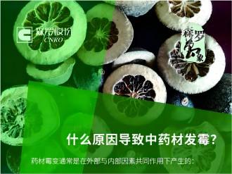 《森羅萬(wàn)象》，萬(wàn)象包羅 第4問(wèn)